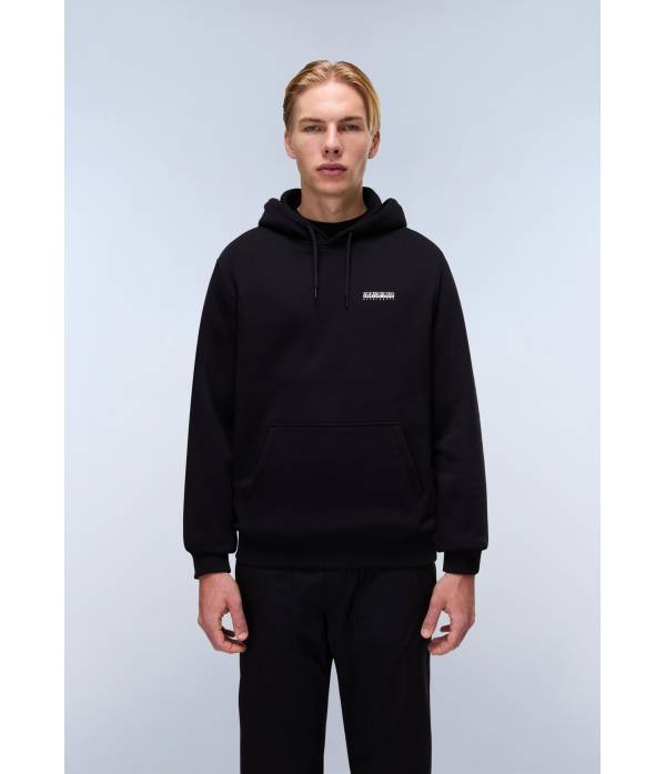 B-GUIDE H BLACK BEAUTY 