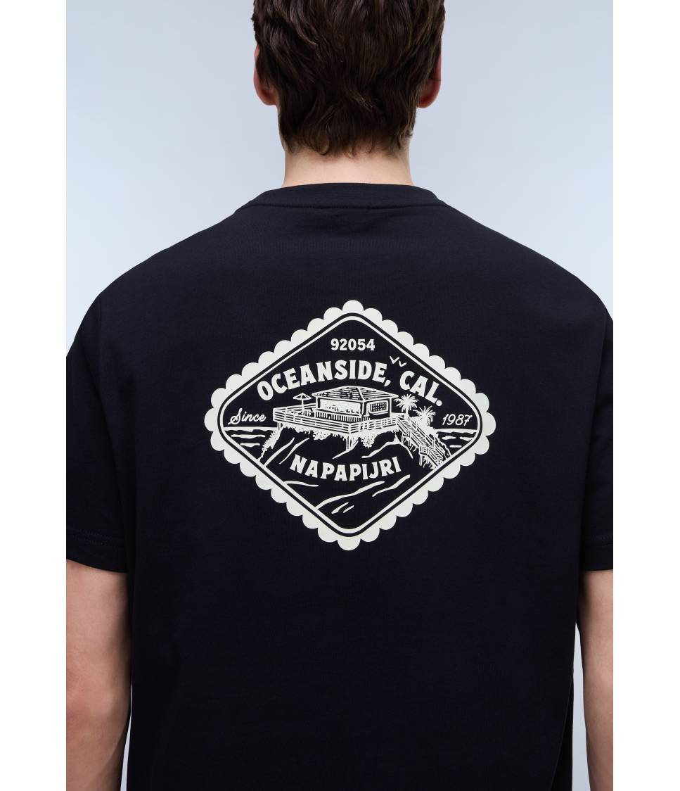 S-FLINT SS FANCY FX2 