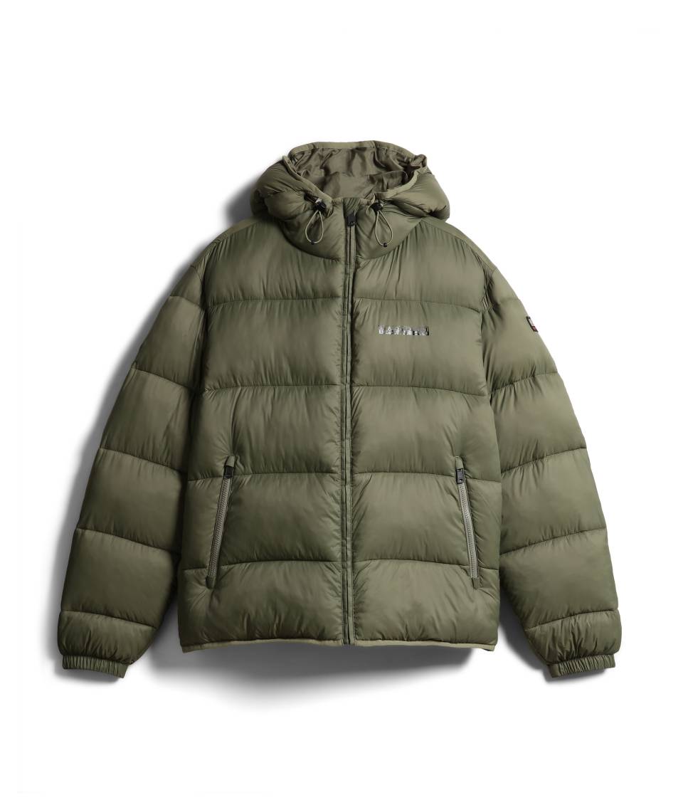 A-SUOMI H 1 GREEN LICHEN