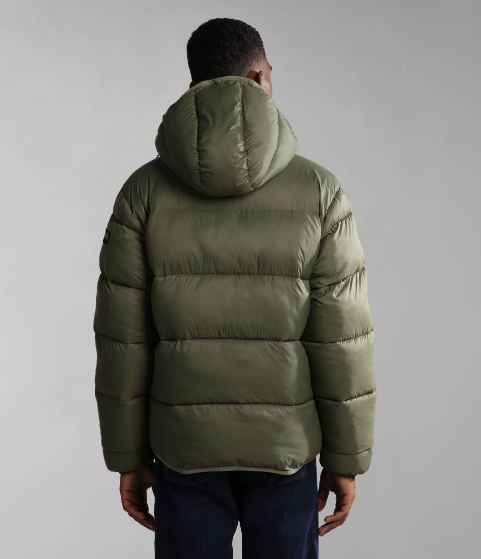 A-SUOMI H 1 GREEN LICHEN