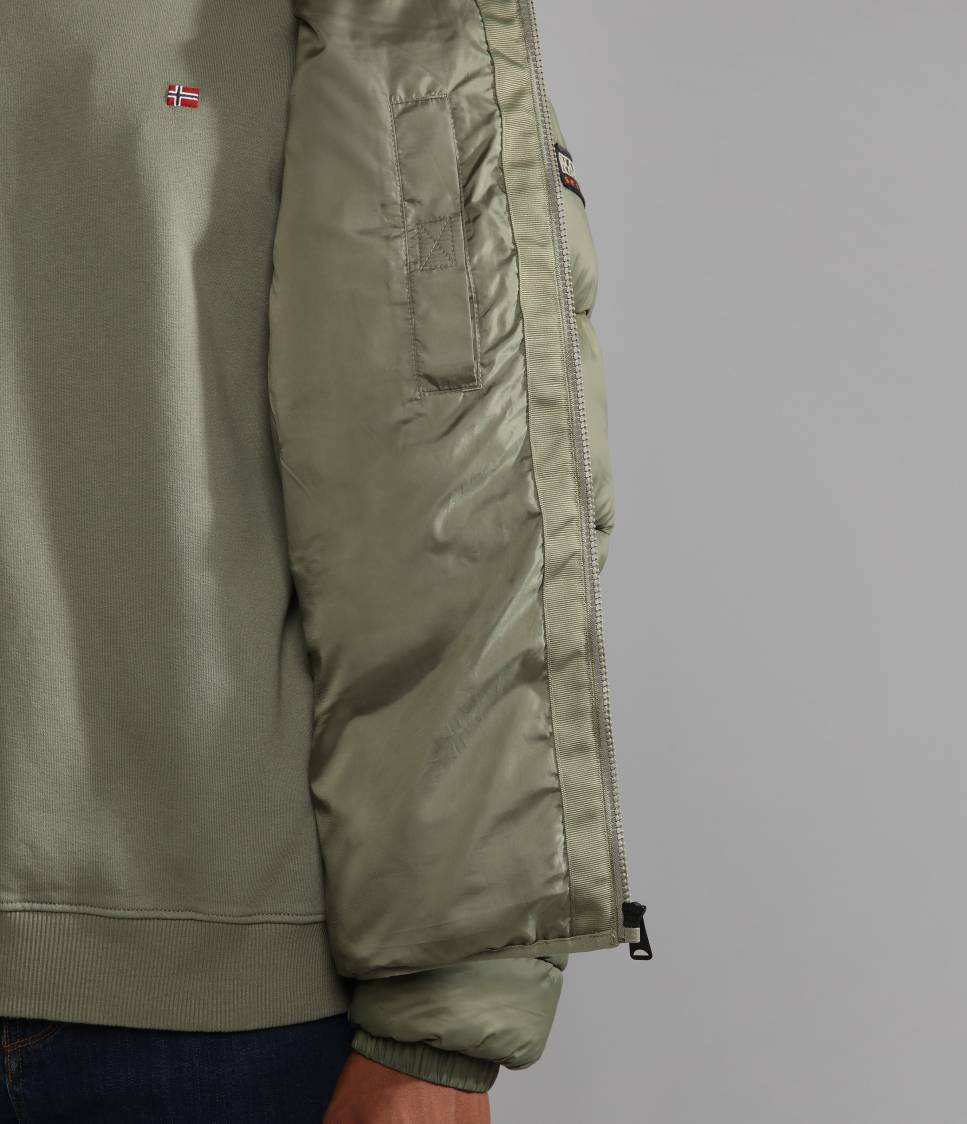 A-SUOMI H 1 GREEN LICHEN