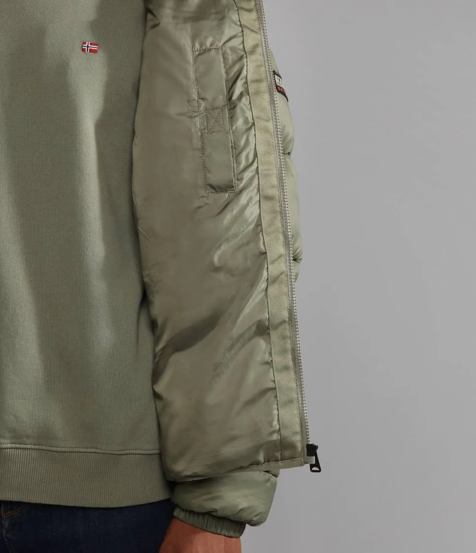 A-SUOMI H 1 GREEN LICHEN