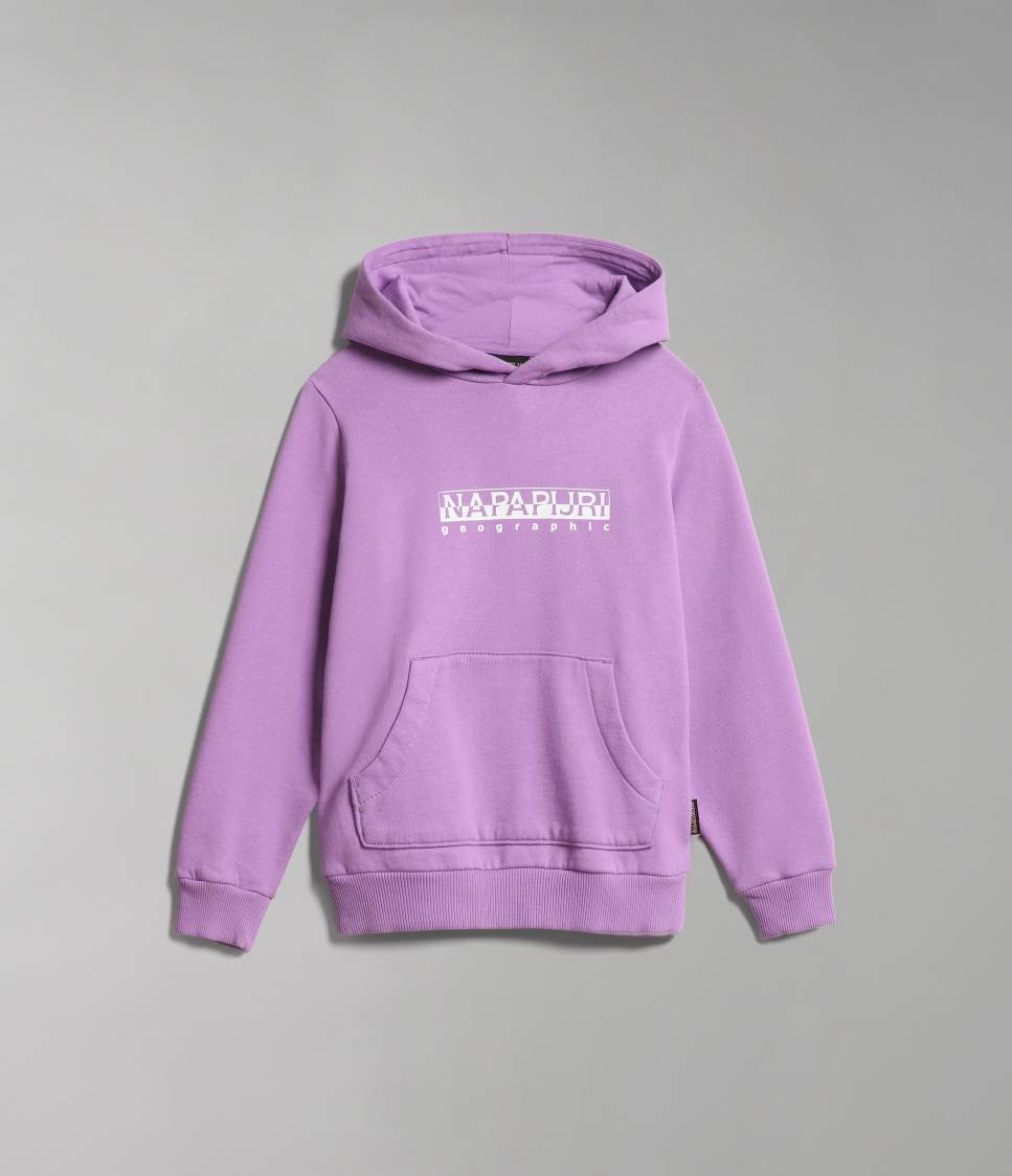 K B-BOX H 1 VIOLET PANSY