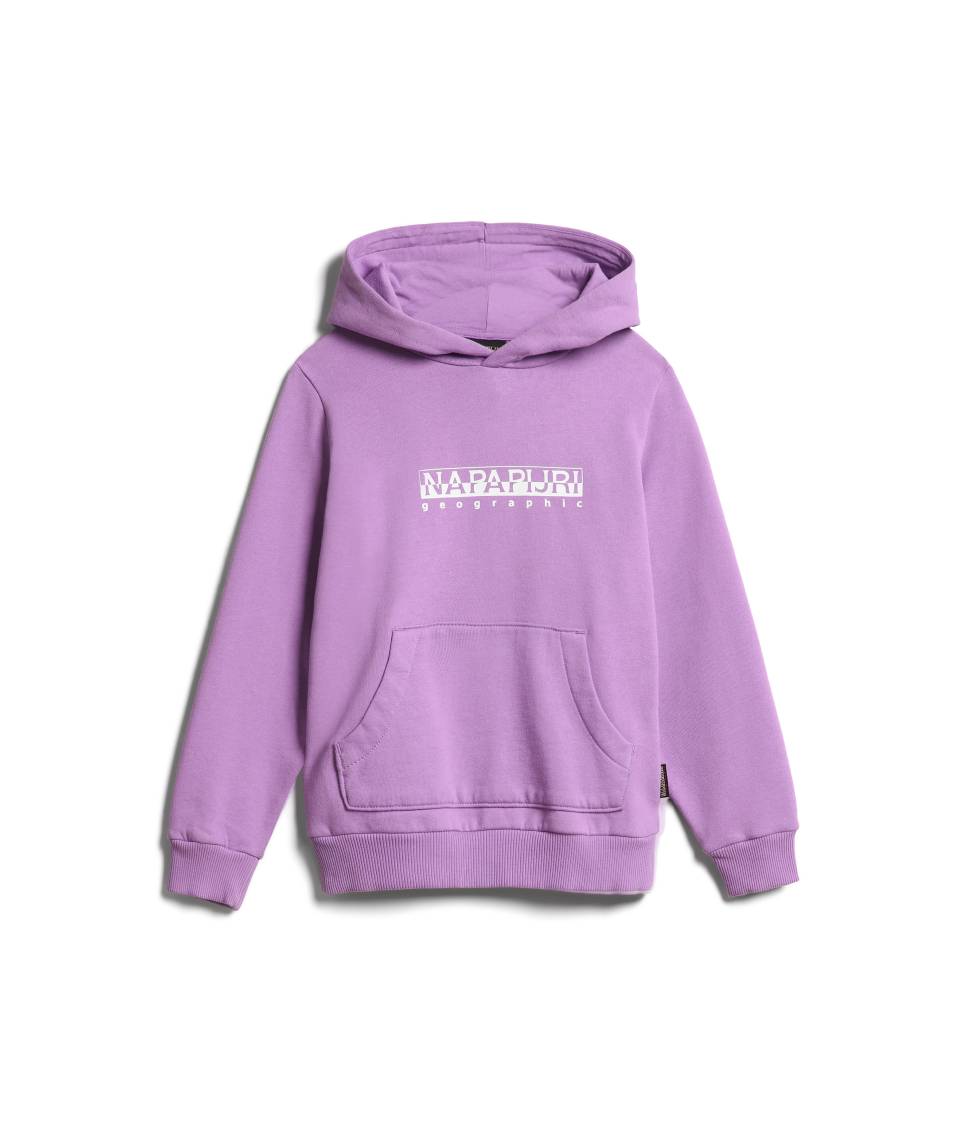 K B-BOX H 1 VIOLET PANSY