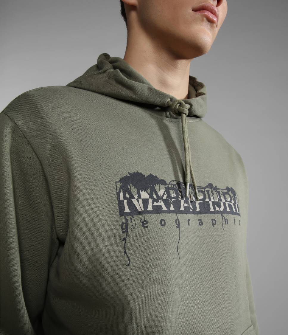 B-NAPO H GREEN LICHEN