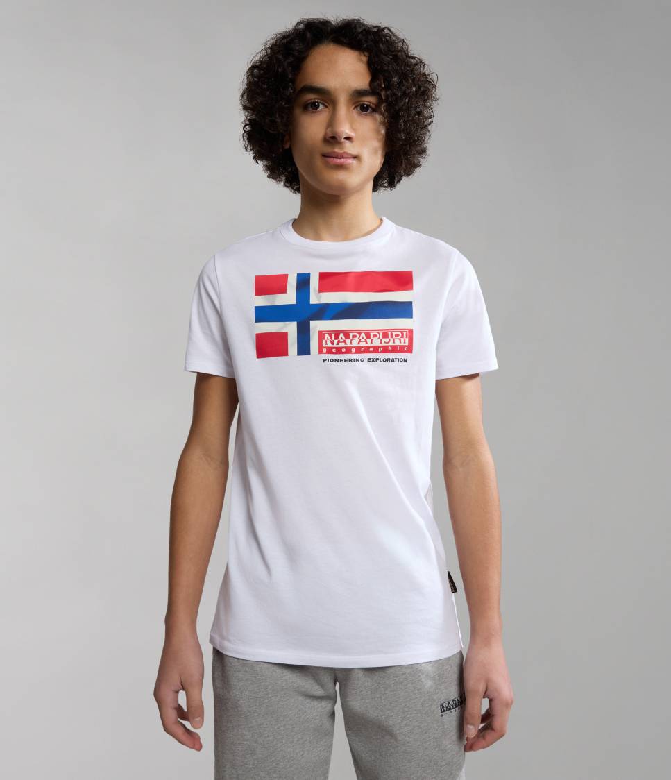 K S-ZAMORA FLAG COLORED FJ