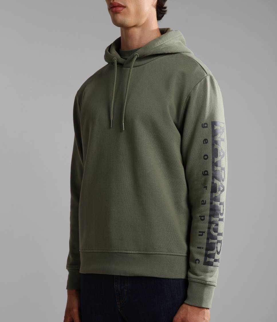 BADAS H 1 GREEN LICHEN