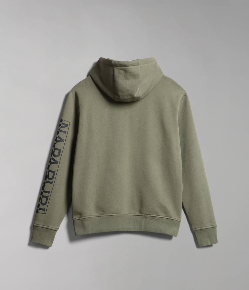 BADAS H 1 GREEN LICHEN