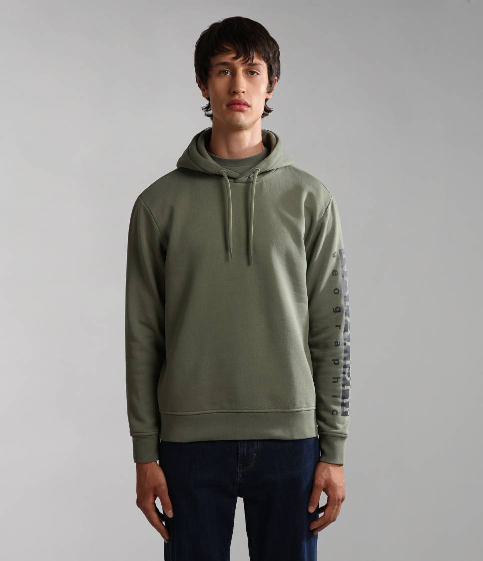 BADAS H 1 GREEN LICHEN