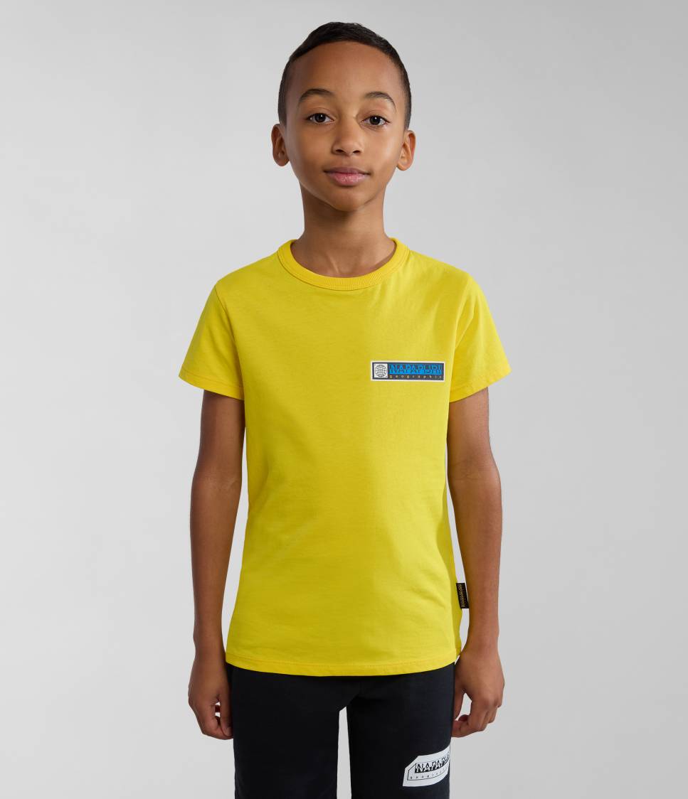 K S-LIARD YELLOW VISIBLE