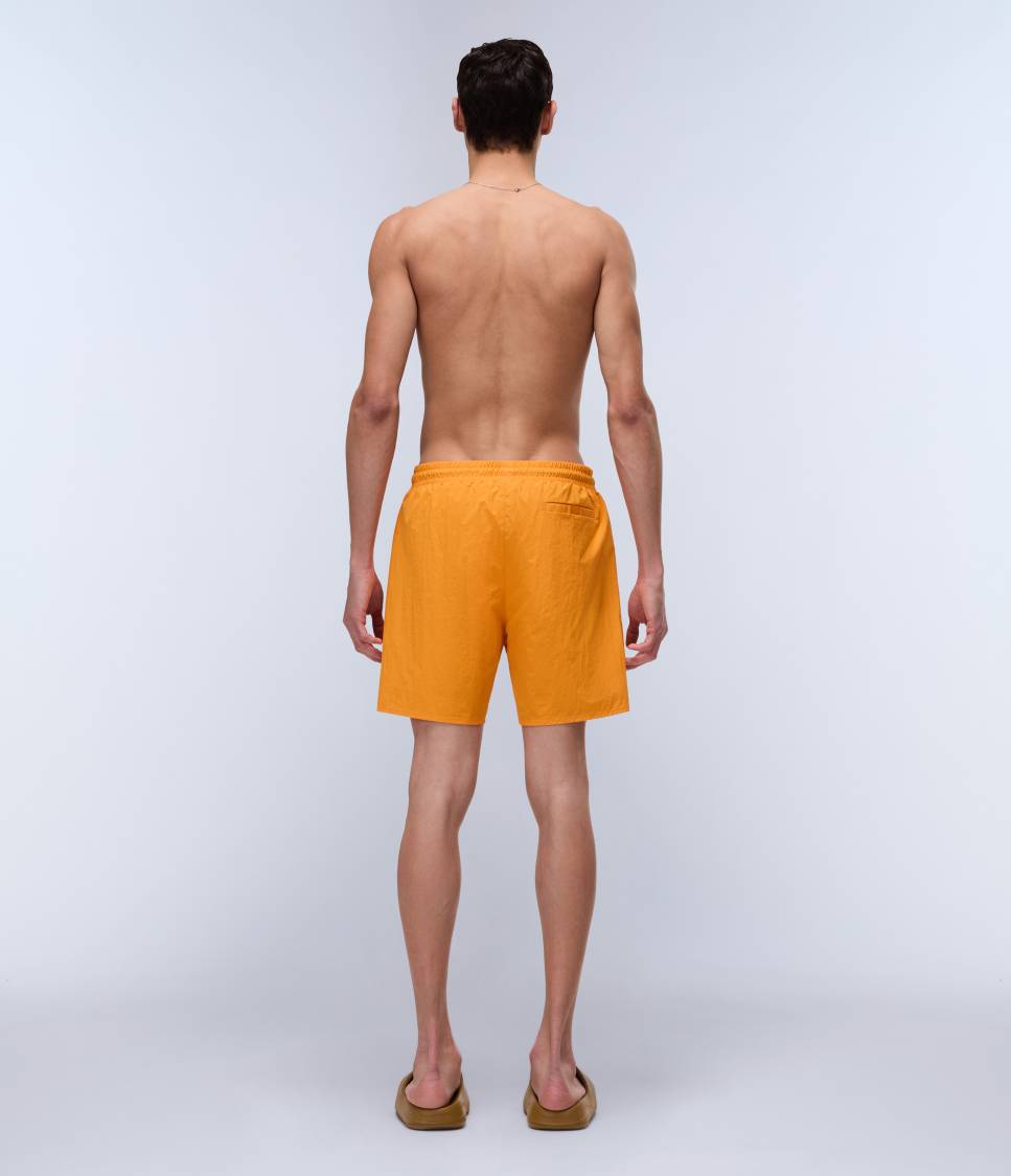 V-HALDANE APRICOT A70