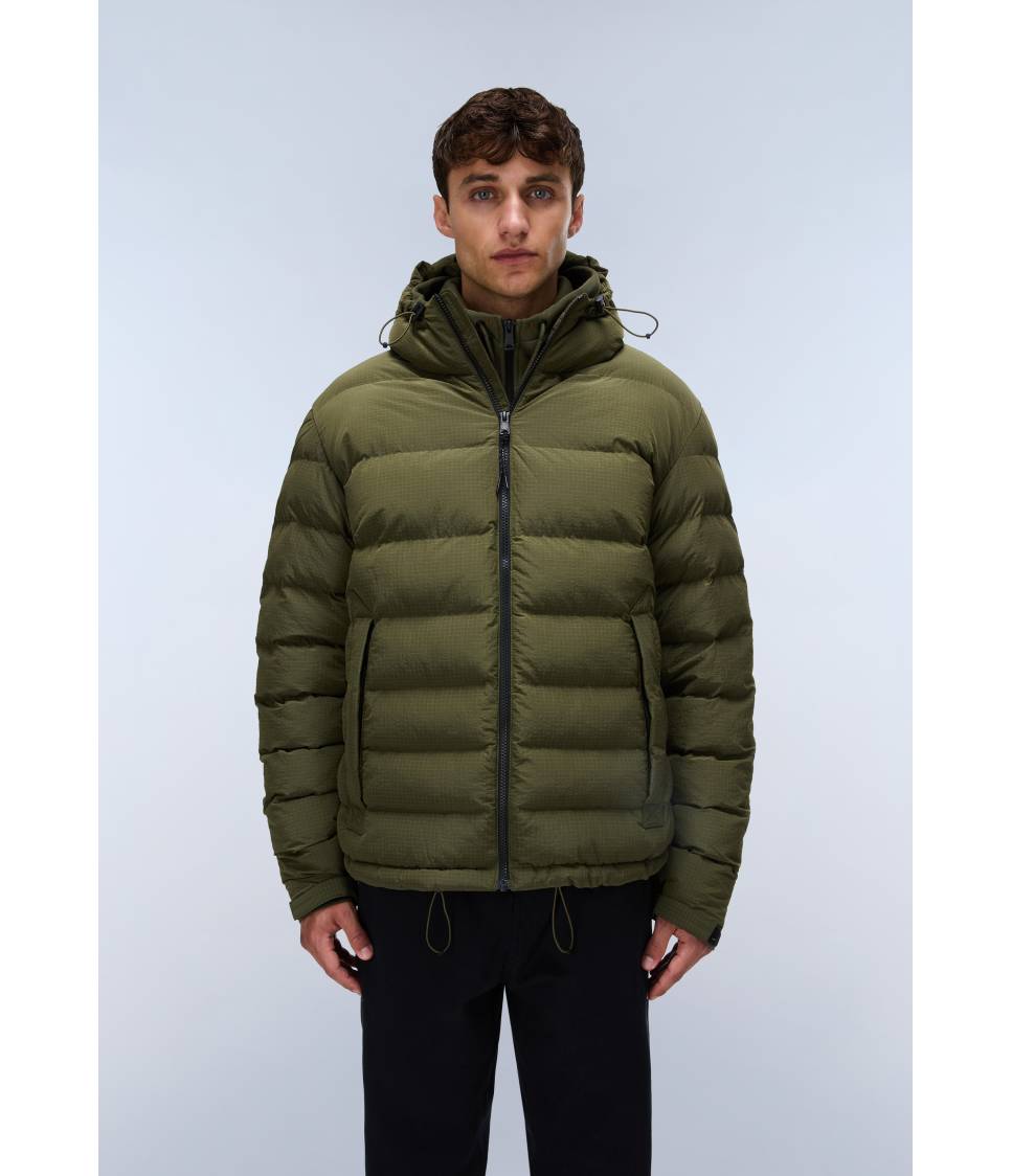 A-TEREZ OLIVE NIGHT G1F 