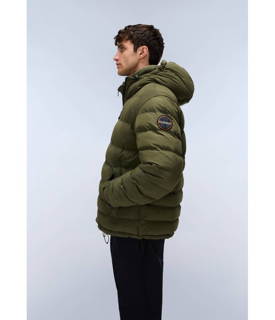 A-TEREZ OLIVE NIGHT G1F 