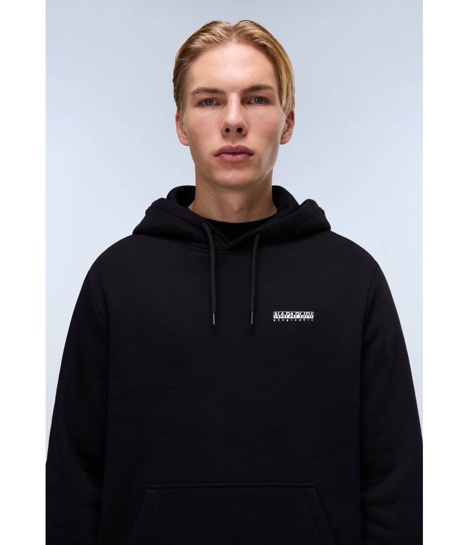 B-GUIDE H BLACK BEAUTY 